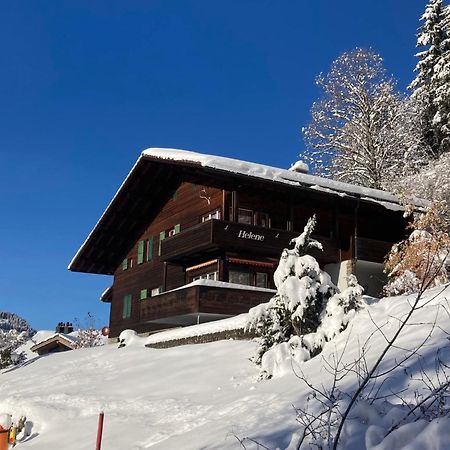 Apartment Helene Apt Diana By Interhome Wengen Bagian luar foto