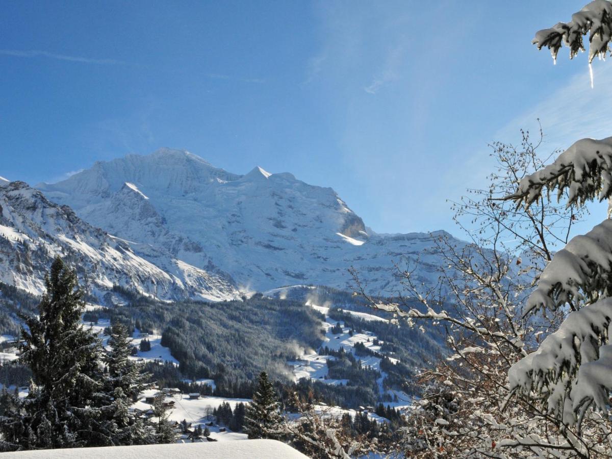 Apartment Helene Apt Diana By Interhome Wengen Bagian luar foto