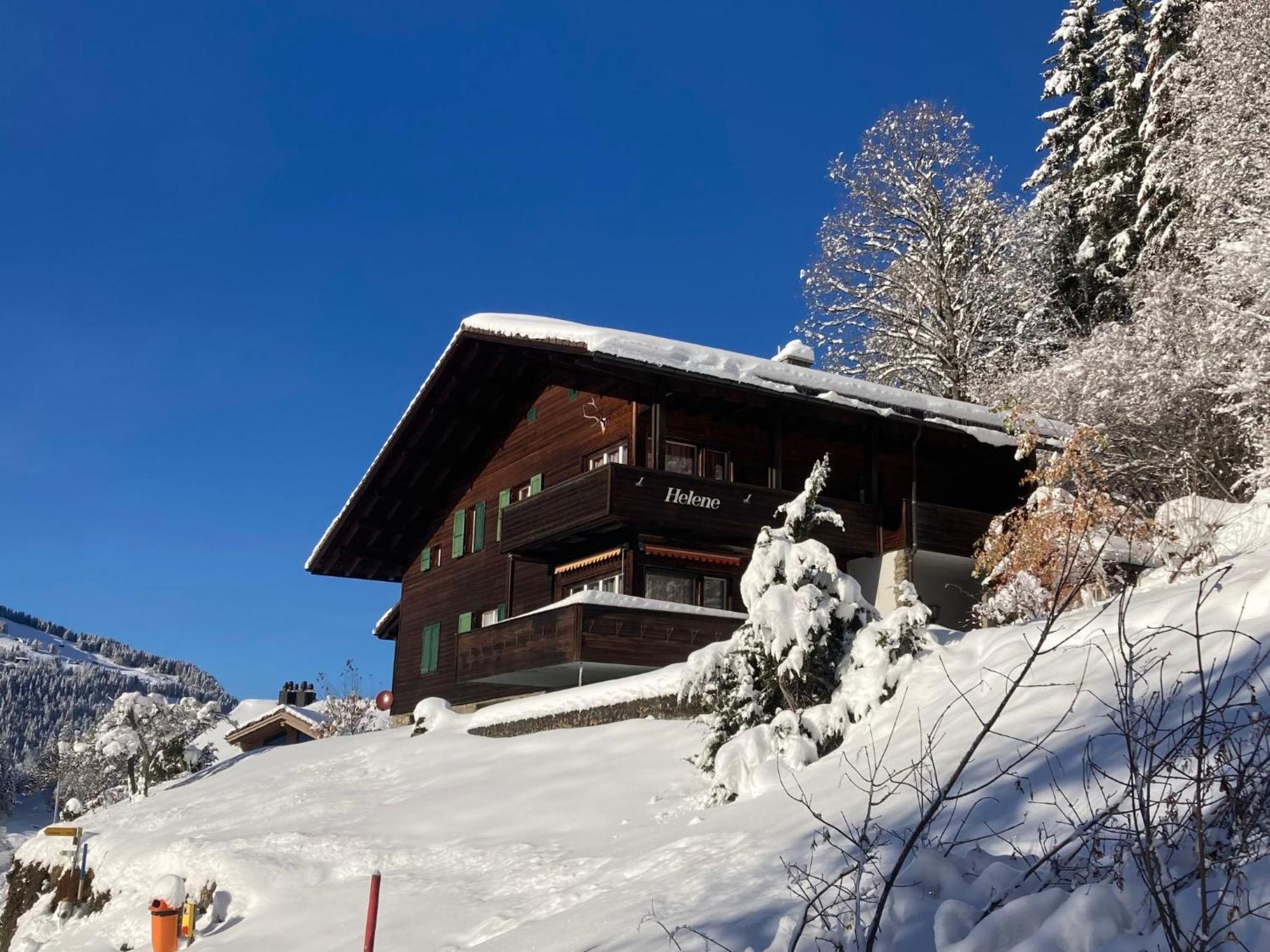 Apartment Helene Apt Diana By Interhome Wengen Bagian luar foto