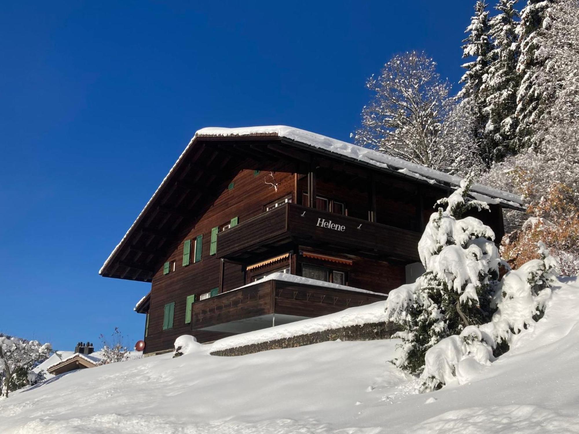 Apartment Helene Apt Diana By Interhome Wengen Bagian luar foto